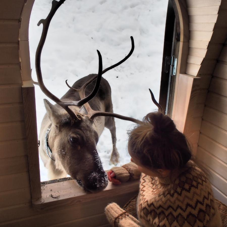 Igluhut - Sleep With Reindeer Villa Espoo Dış mekan fotoğraf