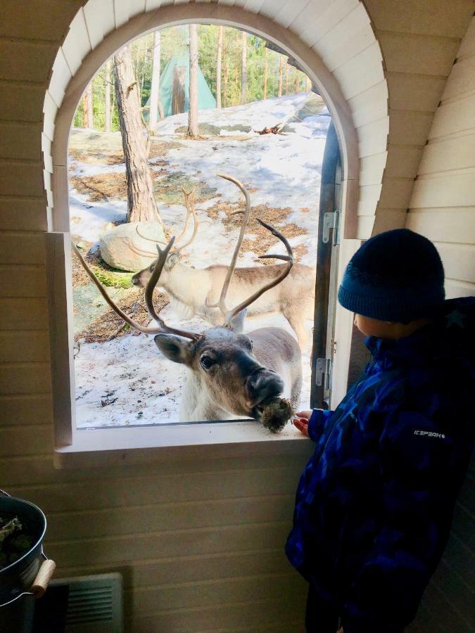 Igluhut - Sleep With Reindeer Villa Espoo Dış mekan fotoğraf